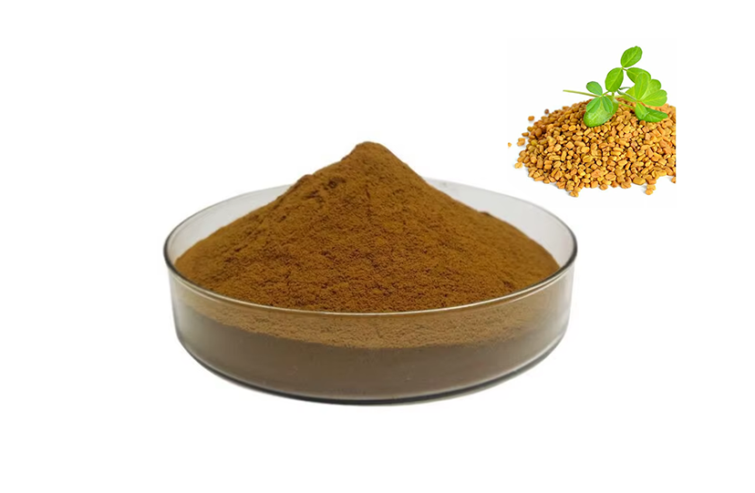 Fenugreek Seed Extract Powder
